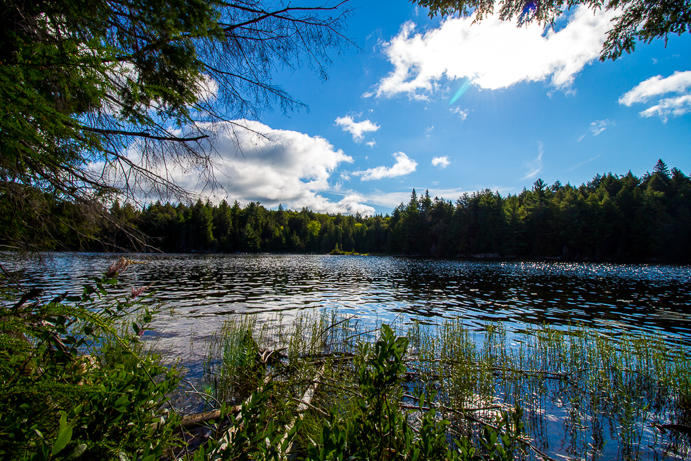 Algonquin Park